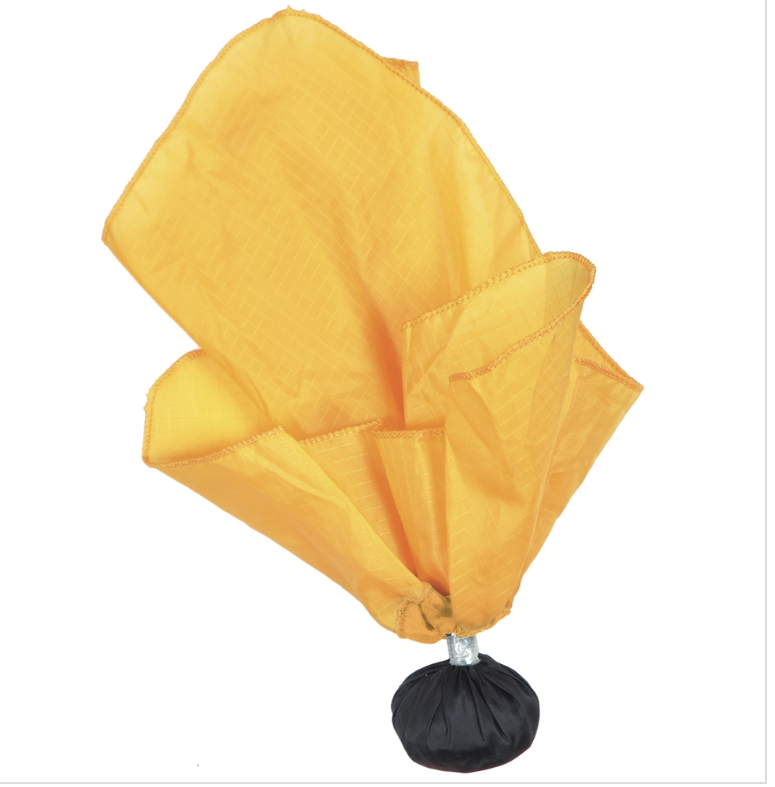 Weighted Penalty Flags