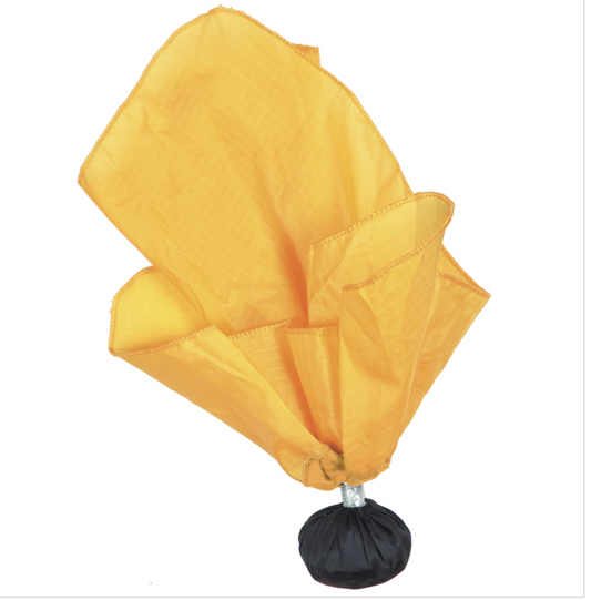 Weighted Penalty Flags